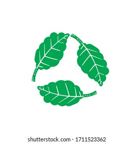 hand drawn Biodegradable recyclable plastic free package icon. Vector bio recyclable degradable label logo template. doodle drawing vector