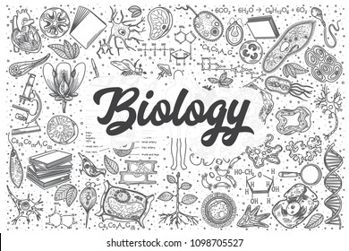 Hand Drawn Biology Doodle Set. Lettering - Biology