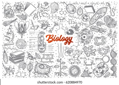 Hand Drawn Biology Doodle Set Background With Red Lettering In Vector