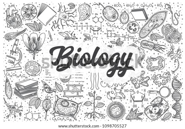 Hand drawn\
biology doodle set. Lettering -\
Biology