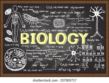 Hand Drawn Biology On Chalkboard.
