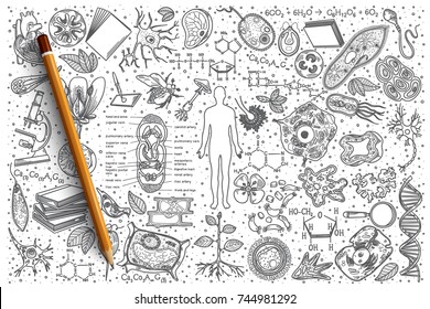 Hand Drawn Biology Vector Doodle Set Background