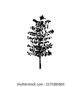 Hand drawn birch sketch. Vector birch tree ink sketch isolated