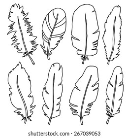 Hand drawn bird black feathers closeup isolated on white background set. Art scrapbook elements, sketch