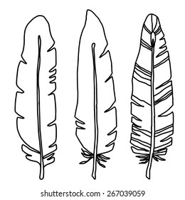 Hand drawn bird black feathers closeup isolated on white background set. Art scrapbook elements, sketch