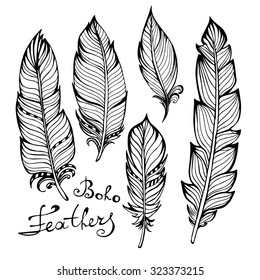 Hand drawn bird black feathers closeup isolated on white background set. Boho style. Vector illustration