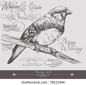 hand drawn bird with calligraphy set