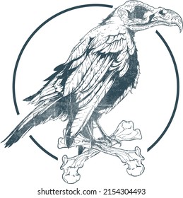 Hand drawn bird with circle vector logo template