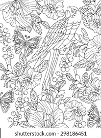 Hand Drawn Bird Coloring Page Stock Vector (Royalty Free) 298186910 ...