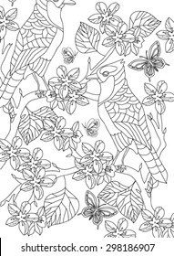 hand drawn bird coloring page