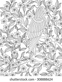hand drawn bird coloring page