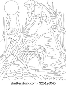 hand drawn bird coloring page