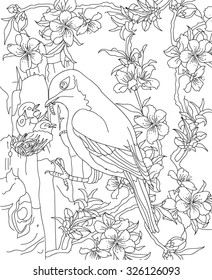 hand drawn bird coloring page