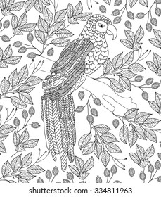 hand drawn bird coloring page