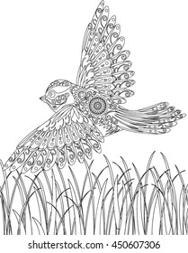 hand drawn bird coloring page