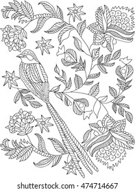 hand drawn bird coloring page