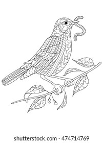 hand drawn bird coloring page