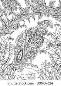 hand drawn bird coloring page