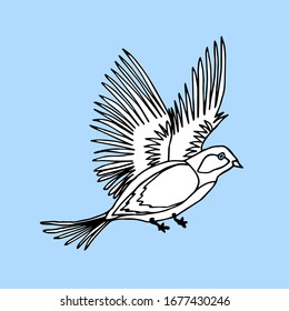 Hand drawn bird in doodle style. The bird is flying isolated on light blue. Vector doodle illustration for cards, design, fabric, textile, coloring book.