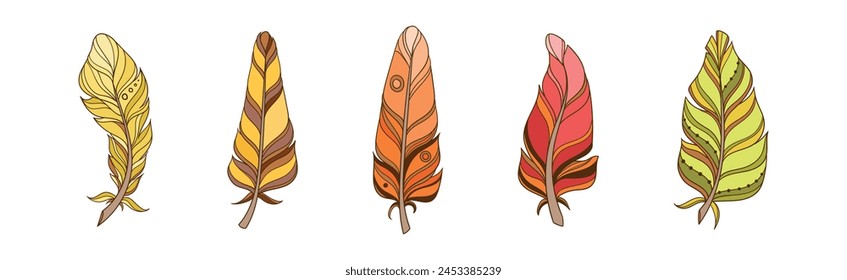 Handgezeichnete Vogelfeder und flauschiges Gefieder Element Vektorgrafik Set