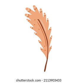 Hand drawn bird feather isolated on a white background. Doodle, illustration in a simple flat style. It can be used for decoration of textile, paper and other surfaces.