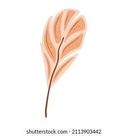 Hand drawn bird feather isolated on a white background. Doodle, illustration in a simple flat style. It can be used for decoration of textile, paper and other surfaces.