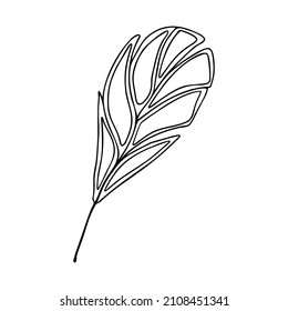 Hand drawn bird feather on a white isolated background. Doodle, simple outline illustration. It can be used for decoration of textile, paper and other surfaces.