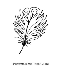 Hand drawn bird feather on a white isolated background. Doodle, simple outline illustration. It can be used for decoration of textile, paper and other surfaces.