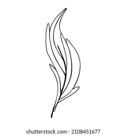Hand drawn bird feather on a white isolated background. Doodle, simple outline illustration. It can be used for decoration of textile, paper and other surfaces.