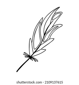 Hand drawn bird feather on a white isolated background. Doodle, simple outline illustration. It can be used for decoration of textile, paper and other surfaces.