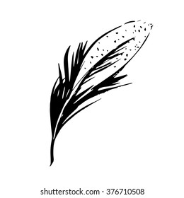Hand drawn bird feather, Symbol of knowledge, writing and learning. Vector black and white illustration in vintage style isolated on white background