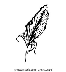 Hand drawn bird feather, Symbol of knowledge, writing and learning. Vector black and white illustration in vintage style isolated on white background