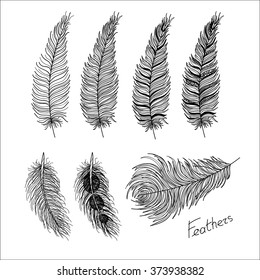 Hand drawn bird feathers closeup isolated on white background set. Boho style. Vector illustration. Eps10