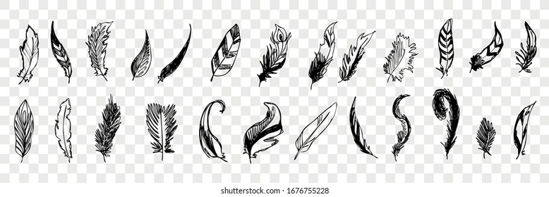 Hand drawn bird feathers doodle set collecton. Pen or pencil, ink different bird feathers. Sketch of various form writing quills isolated on transparent background. Vector illustration