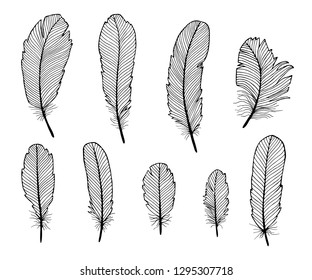 Hand drawn bird feathers isolated on white background. Ethnic decorative elements.