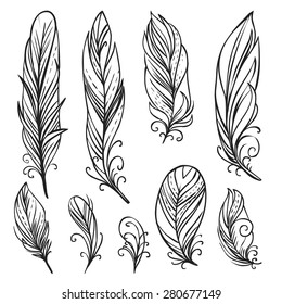 Hand drawn bird feathers. Vector set