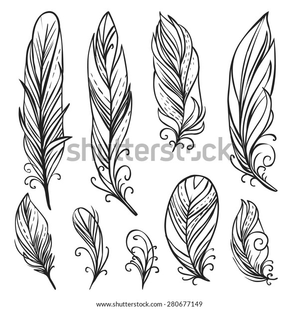 Hand Drawn Bird Feathers Vector Set Stock Vector (Royalty Free) 280677149