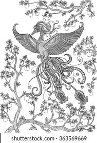 Hand drawn bird - Firebird on a branch apple-tree. Coloring page.