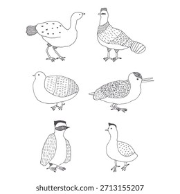 Conjunto de ilustración de aves dibujado a mano