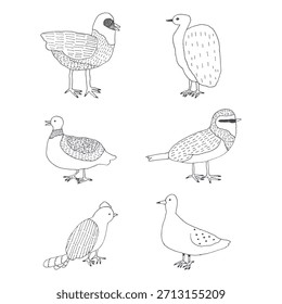 Conjunto de ilustración de aves dibujado a mano