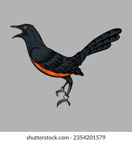 Hand drawn bird line art illustration