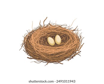 Hand drawn bird nest holds eggs vector illustration