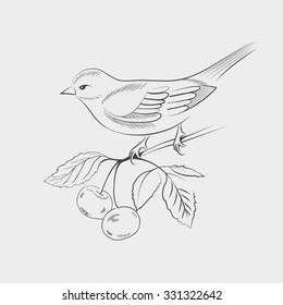 Hand drawn bird on a branch. Vector illustration