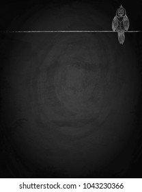 Hand drawn bird on chalkboard background. Vector illustration