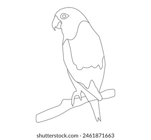 Handgezeichnete Vogelumriss-Illustration und Linie-Art-Vektorgrafik