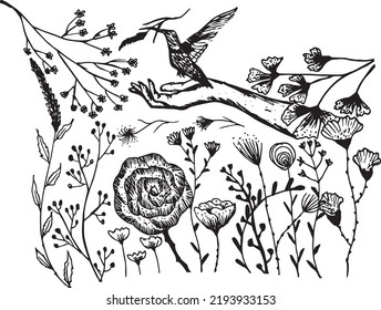 Hand Drawn Of Bird Set Free With Floral Vector, Freedom Concept.