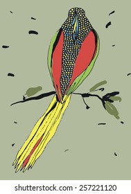 hand drawn bird sitting on a branch