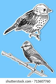 Hand drawn bird stickers