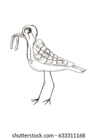 Hand drawn bird, vector illustration of a bird with worm in her mouse