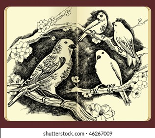 Hand drawn birds, flowers, and branches - high-detailed ink